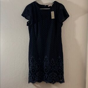 Loft Elegant Navy Lace Dress